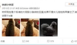 小熊被爆料抄袭视频,揭秘网络红人背后的争议与真相